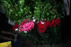 20130704-E24A4960